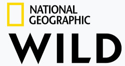 Nat Geo Wild LOGO